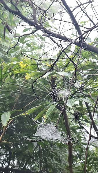 P_20160829_085705_1_HDR_p.jpg P_20160829_085705_1_HDR_p.jpg