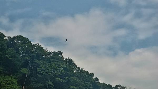 P_20160829_092953_1_HDR_p.jpg P_20160829_092953_1_HDR_p.jpg