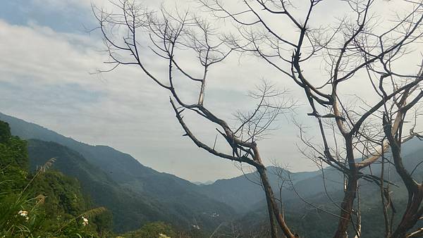 P_20160829_092906_1_HDR_p.jpg P_20160829_092906_1_HDR_p.jpg