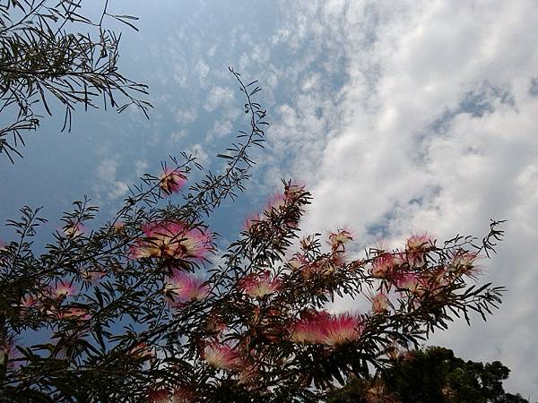 P_20160829_102812_1_BF_p.jpg P_20160829_102812_1_BF_p.jpg