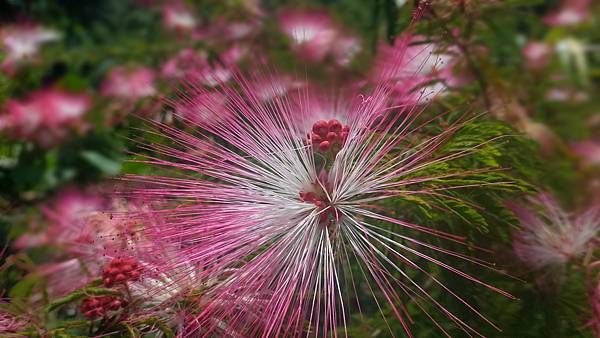 P_20160829_102551_DF.jpg P_20160829_102551_DF.jpg