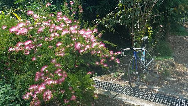 P_20160829_102439_p.jpg P_20160829_102439_p.jpg