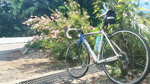 P_20160829_102336_1_HDR_p.jpg P_20160829_102336_1_HDR_p.jpg