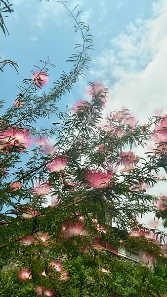 P_20160829_102916_1_HDR_p.jpg P_20160829_102916_1_HDR_p.jpg