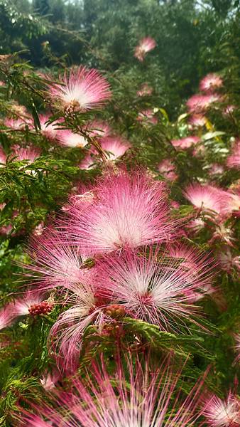 P_20160829_103345_1_HDR_p.jpg P_20160829_103345_1_HDR_p.jpg