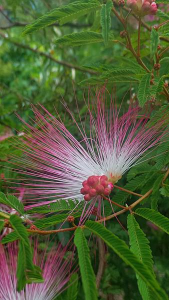 P_20160829_103611_DF.jpg P_20160829_103611_DF.jpg