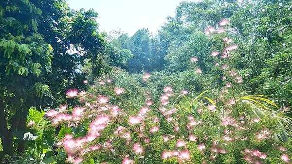 P_20160829_103146_1_HDR_p.jpg P_20160829_103146_1_HDR_p.jpg