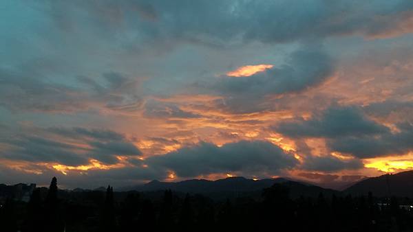 P_20160915_053126.jpg P_20160915_053126.jpg