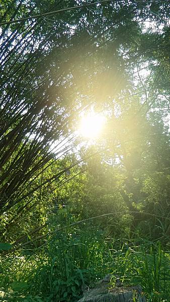 P_20160922_071449_HDR.jpg P_20160922_071449_HDR.jpg