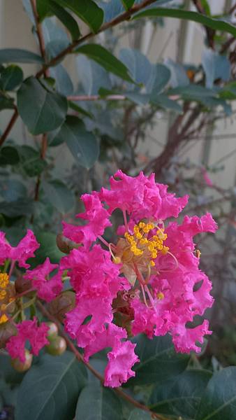 P_20160922_073914_DF.jpg P_20160922_073914_DF.jpg