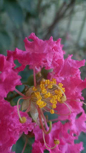 P_20160922_073944_DF.jpg P_20160922_073944_DF.jpg