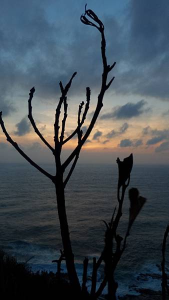 P_20161004_054543_DF.jpg P_20161004_054543_DF.jpg