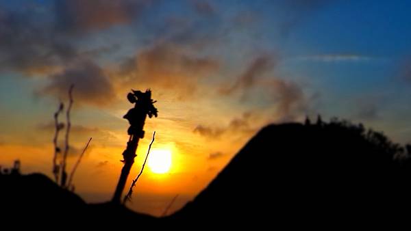 P_20161004_060416_MT.jpg P_20161004_060416_MT.jpg