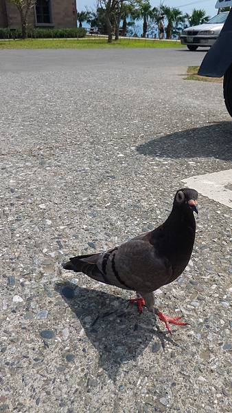 P_20161004_110936.jpg P_20161004_110936.jpg