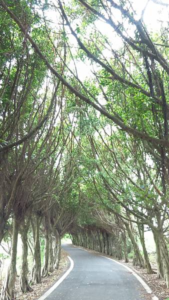 P_20161012_112911.jpg P_20161012_112911.jpg