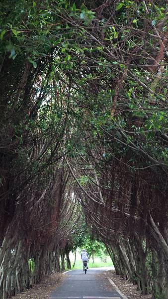 P_20161012_113014.jpg P_20161012_113014.jpg