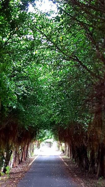 P_20161012_113343_MT.jpg P_20161012_113343_MT.jpg