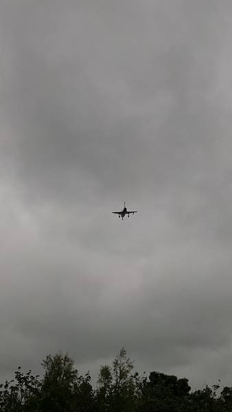 P_20161012_113954.jpg P_20161012_113954.jpg