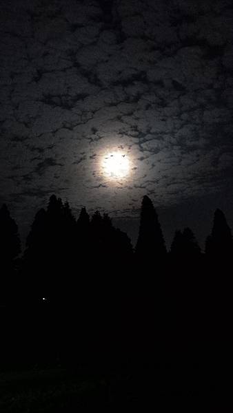 P_20161016_035120_LL.jpg P_20161016_035120_LL.jpg