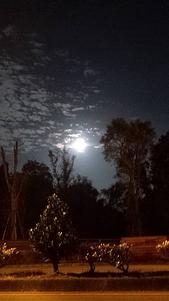 P_20161016_042717_LL.jpg P_20161016_042717_LL.jpg