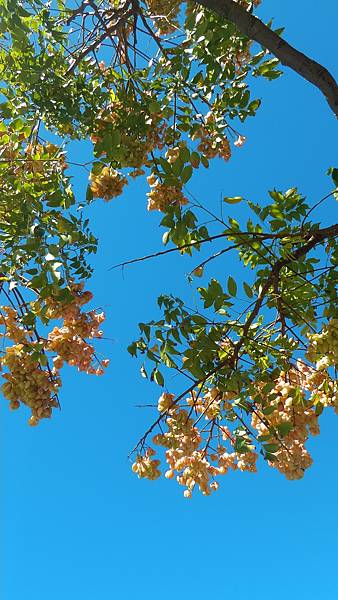 P_20161016_100403.jpg P_20161016_100403.jpg