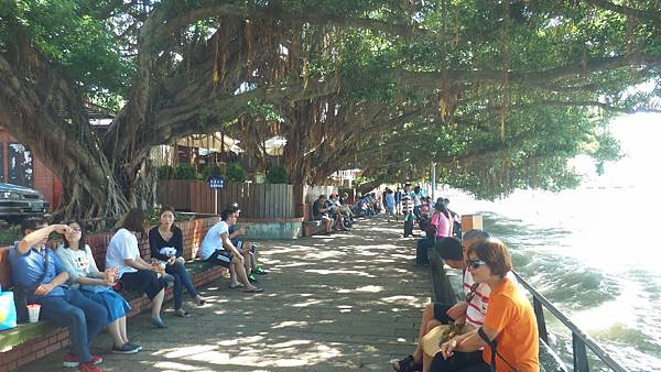 P_20161016_111311.jpg P_20161016_111311.jpg