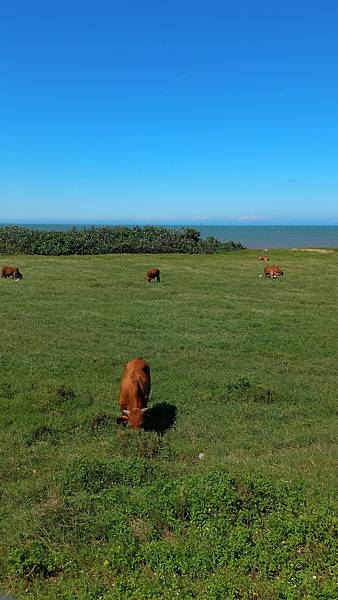 P_20161016_122339_Fotor.jpg P_20161016_122339_Fotor.jpg