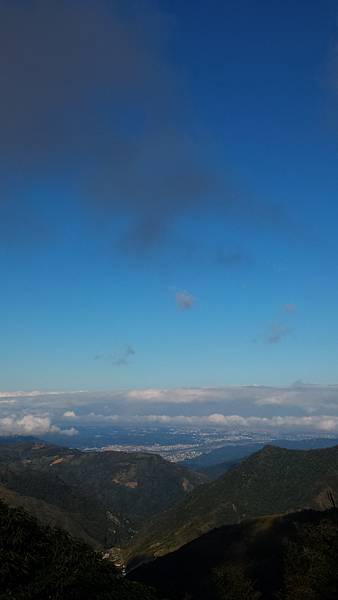 P_20161101_082539.jpg P_20161101_082539.jpg