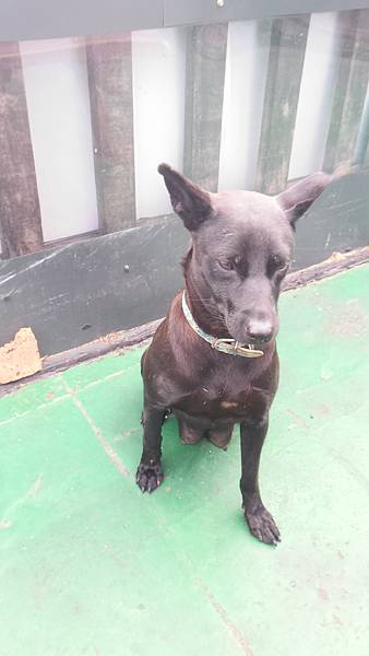 P_20161101_082931_HDR.jpg P_20161101_082931_HDR.jpg