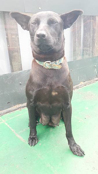 P_20161101_082938_HDR.jpg P_20161101_082938_HDR.jpg