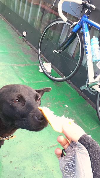 P_20161101_083308_HDR.jpg P_20161101_083308_HDR.jpg