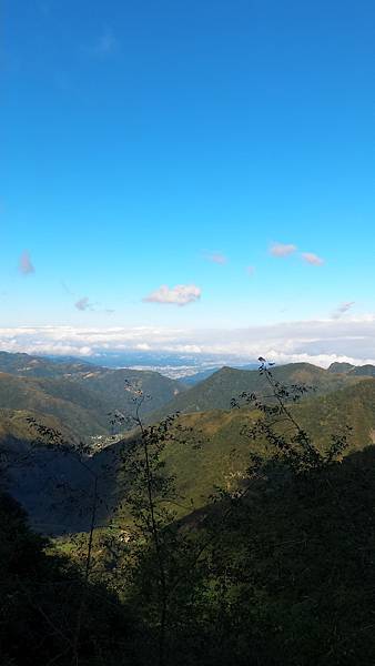 P_20161101_085017.jpg P_20161101_085017.jpg