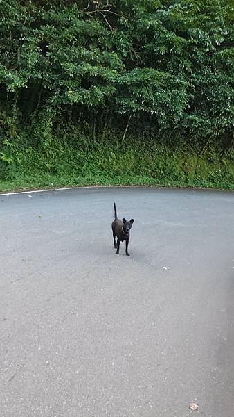 P_20161101_084750_HDR.jpg P_20161101_084750_HDR.jpg