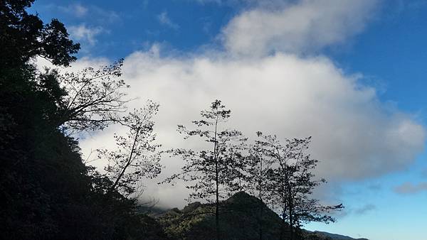 P_20161101_085045_HDR.jpg P_20161101_085045_HDR.jpg