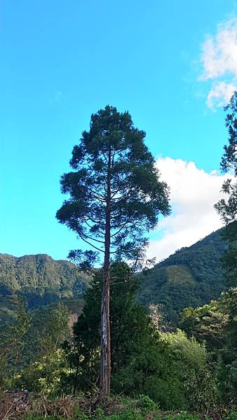 P_20161101_090447_HDR.jpg P_20161101_090447_HDR.jpg