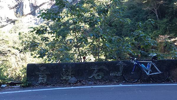 P_20161101_092648.jpg P_20161101_092648.jpg