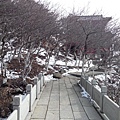 IMG_20140302_144814.jpg