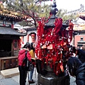 IMG_20140302_145511.jpg
