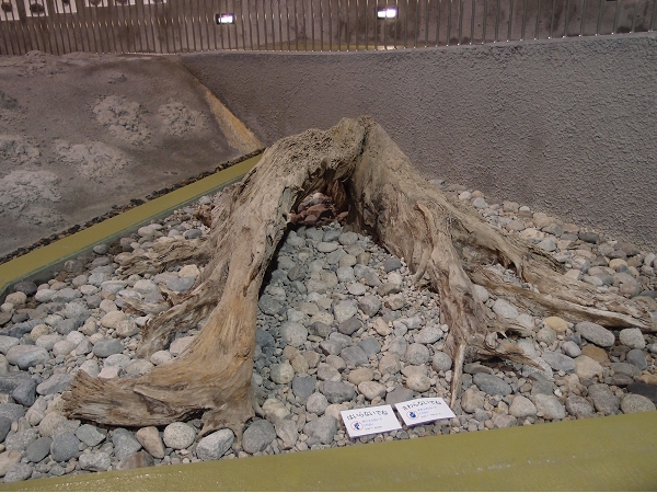P9069077