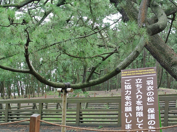 新日本三景之三保松原與羽衣傳說~