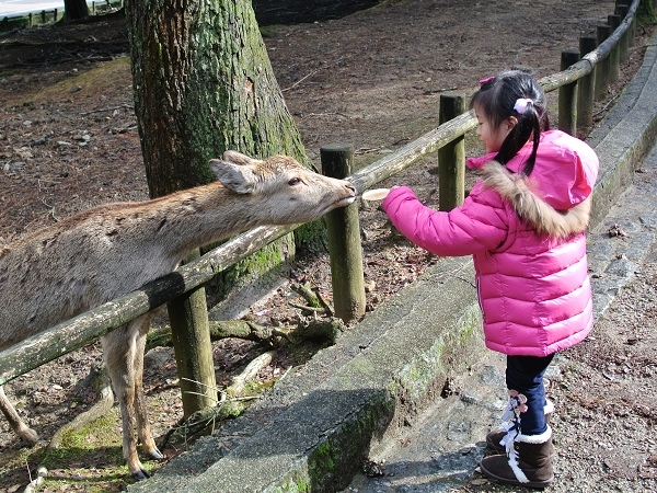 DSC_9517.jpg DSC_9517.jpg