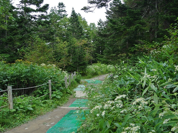 岐阜 奥飞驒 日本唯一2层构造的新穗高缆车 在有如移动的展望台远眺北阿尔卑斯山美景 皮皮旅行 岐阜 奥飞驒 日本唯一2层构造的新穗高缆车 在有如移动的展望台远眺北阿尔卑斯山美景 皮皮旅行