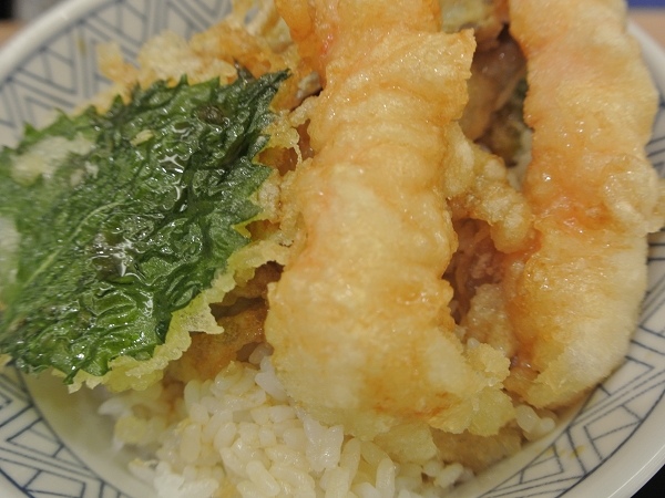 DSC_2116.jpg DSC_2116.jpg