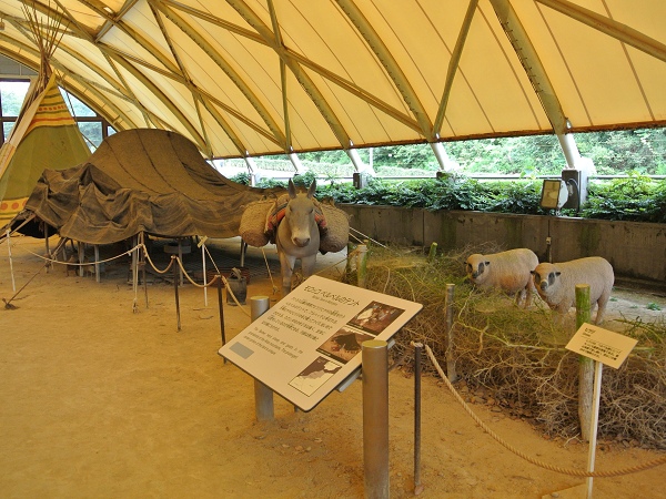 DSC_0435.jpg