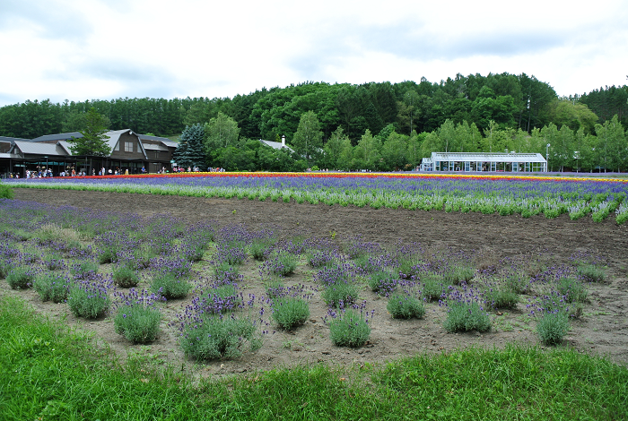 DSC_7599.png DSC_7599.png