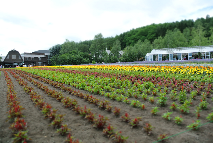 DSC_7605.png DSC_7605.png