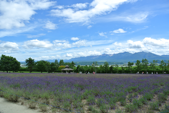 DSC_7609.png DSC_7609.png