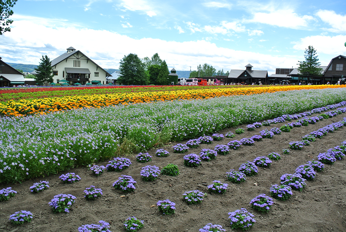 DSC_7612.png DSC_7612.png