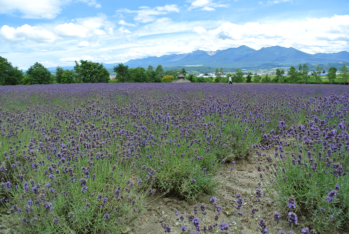 DSC_7613.png DSC_7613.png