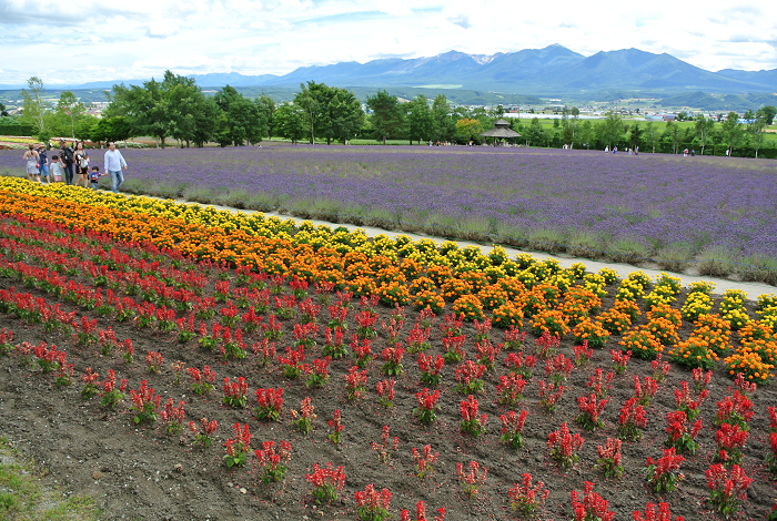 DSC_7617.png DSC_7617.png